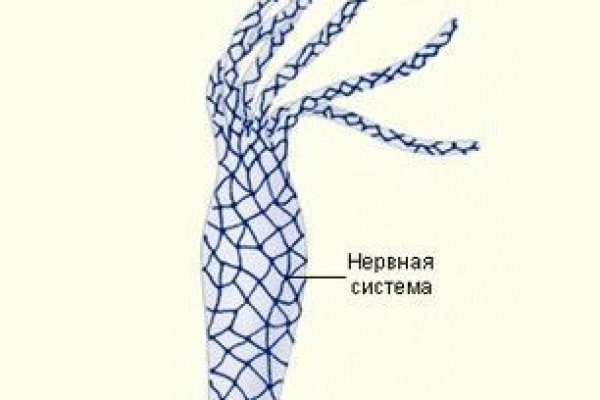 Даркнет мега top books net