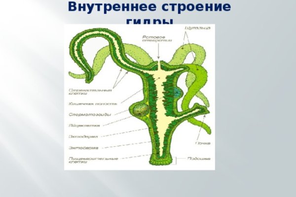 Как найти мегу в торе