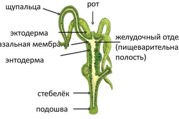 Мега даркнет